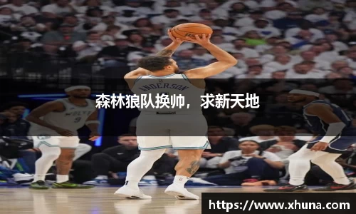 森林狼队换帅,求新天地