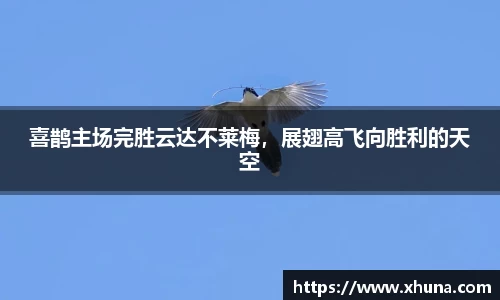 喜鹊主场完胜云达不莱梅,展翅高飞向胜利的天空